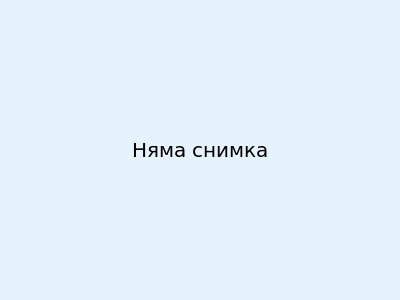 Делфин